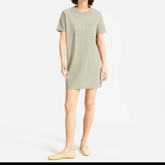 everlane t shirt dress